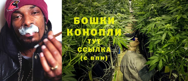 винт Белокуриха