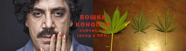гашик Беломорск