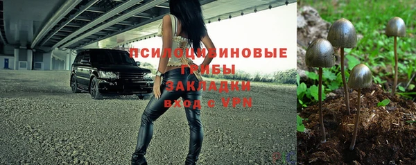 гашик Беломорск